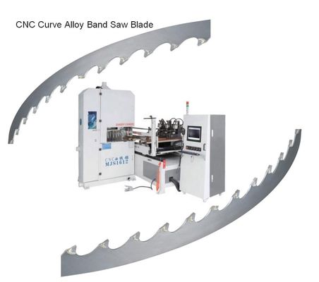 Conseils de carbure TCT Coupe de bois Scie à bande pour bois dur Largeur 13-160 mm
